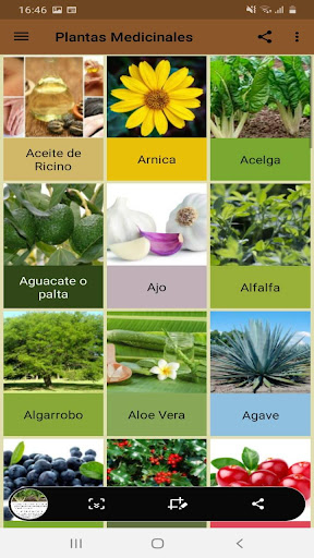 Plantas Medicinales
