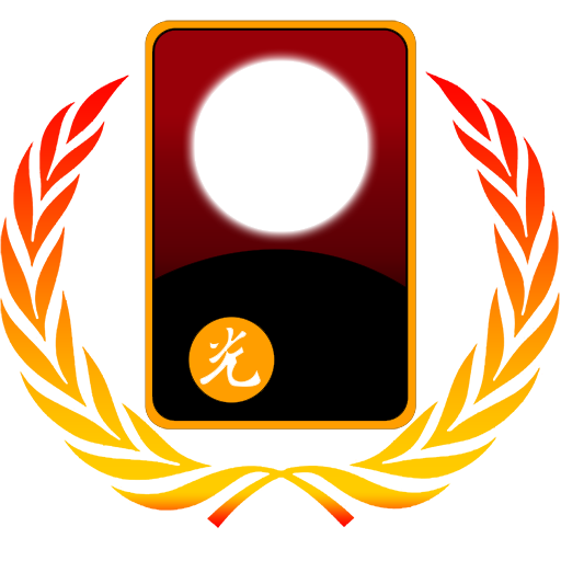 비정상맞고회담 icon