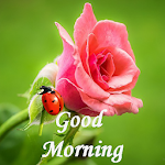 Cover Image of Download Good Morning Quotes 1.8 APK