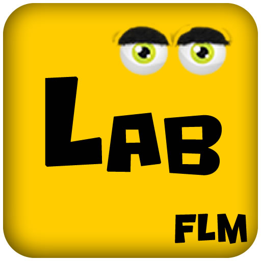 FLM Labyrinth logo