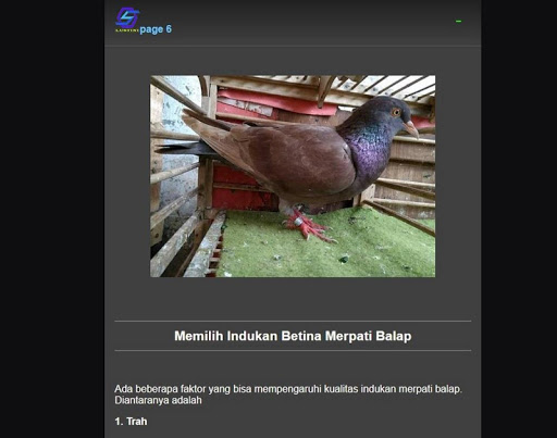 Android application chose dove screenshort