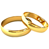 Marriage Report icon