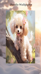 Poodle Wallpapers