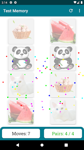 Brain Game. Match The Picture Screen 3
