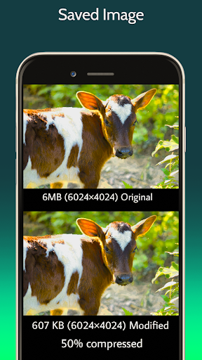 Photo Resizer: Photosize Screen 2