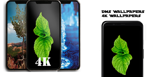 DMS WALLPAPERS 4K HD