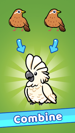 Game screenshot Idle Bird Park mod apk