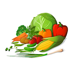 تصویر نماد Diet Recipes