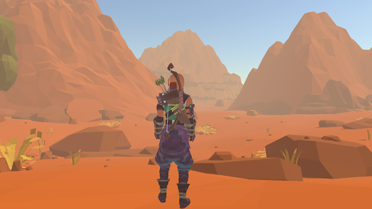 The Ninja in Desert