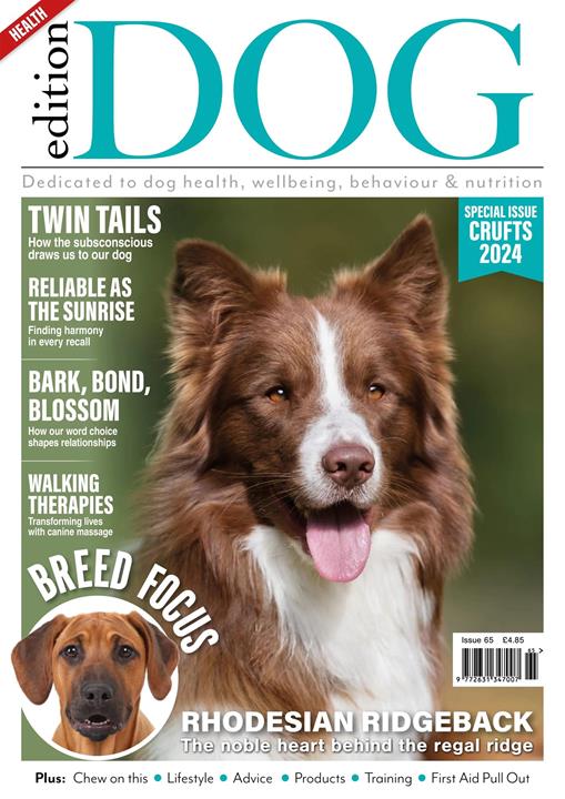 Edition Dog Magazine - 7.0.4 - (Android)