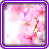 Spring Sakura 3D HD icon