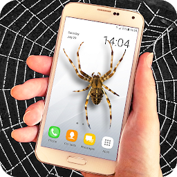 「Spider filter prank」圖示圖片
