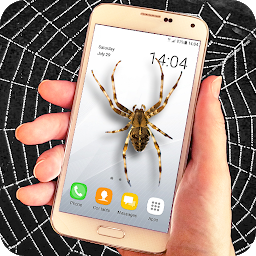 Spider filter prank: Download & Review