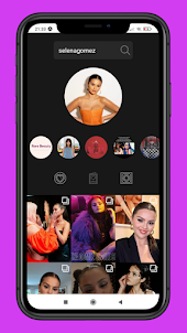 Insta Story Viewer