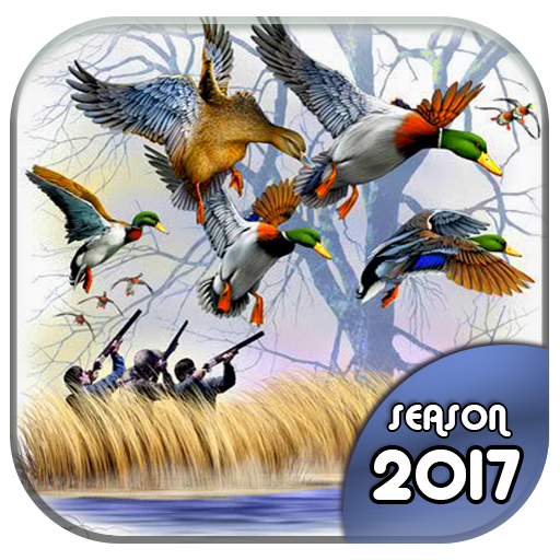 Duck Hunting 3D: Seasons 2017 - Apps On Google Play