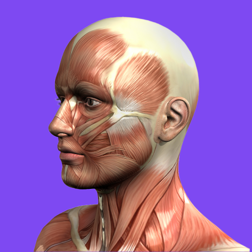 Human Body Systems & Organs logo