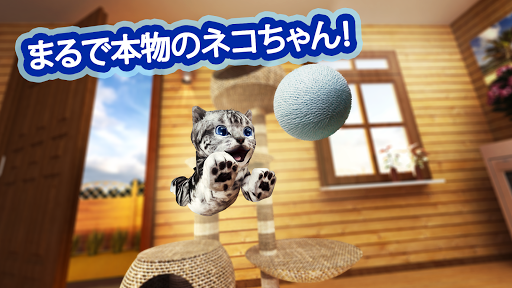 キャットシミュレーター Cat Simulator_21