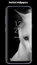 Schwarz Wallpaper Dark Wallpapers Hd Apps Bei Google Play
