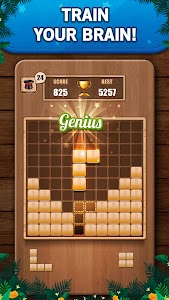Wooden 100 Block Puzzle Game Unknown