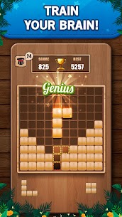 Wooden 100 Block Puzzle Game Mod Apk Download 1