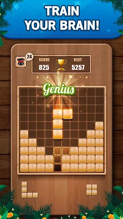 Game screenshot Wooden 100 Block Puzzle Game mod apk