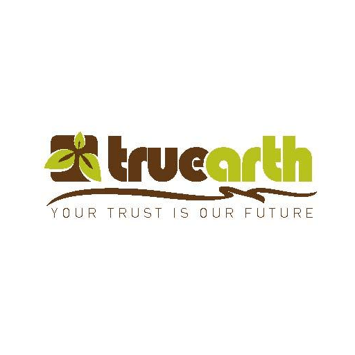 Truearth Download on Windows