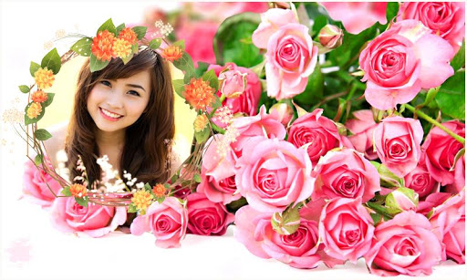 Colorful Flowers Photo gallery Screen 2
