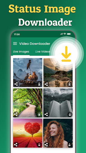 Save Status - Video Downloader 10