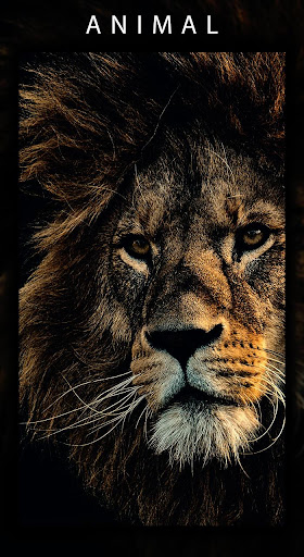 5K Stunning Wallpapers Screenshot 4 - AppWisp.com