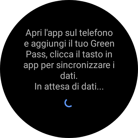 Tessera Sanitaria Italia Screen 3