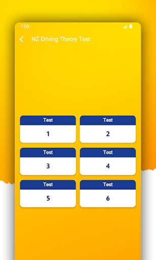 New Zealand Driving Test Screen 2
