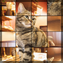 Icon image Swapping Cat Puzzle