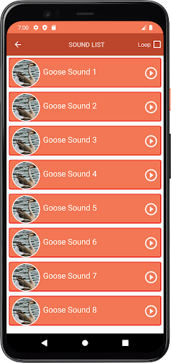Goose Sounds Screen 3