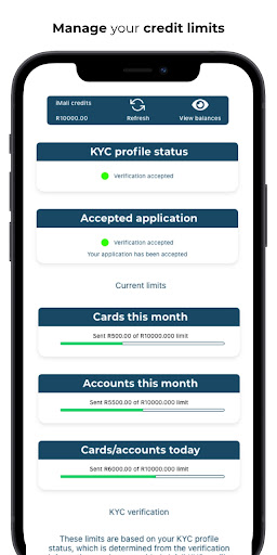 ViduPay Screen 3