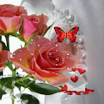 Cover Image of Download Pink Rose Butterfly LWP  APK