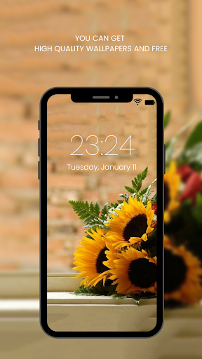 Screenshot of Sunflower Wallpaper HD