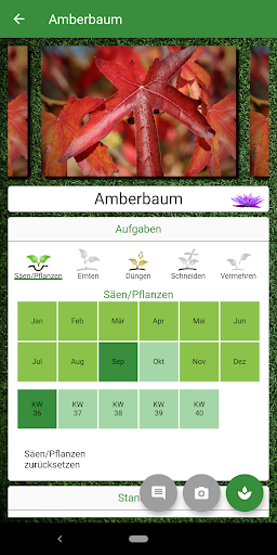 Android application Pflanz Memo screenshort