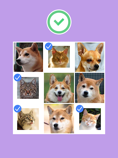 No Robots Allowed - Crazy Quiz