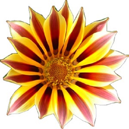 Serres des Ajoncs dOr logo
