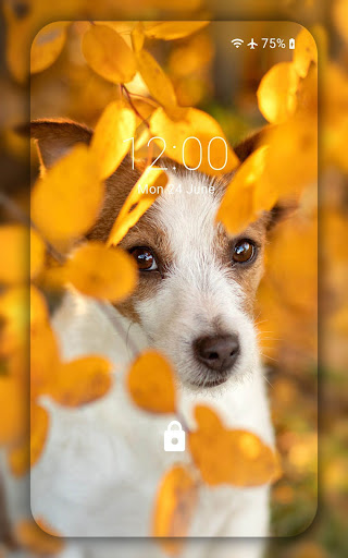Autumn wallpaper Screen 2