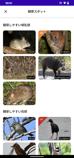 ジュゴンズアイ Screen 3