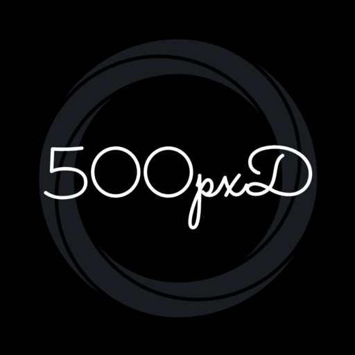 500px Downloader logo