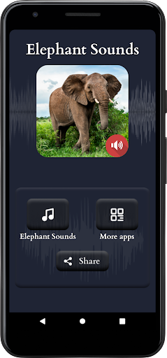 Elephant Sounds Screen 2