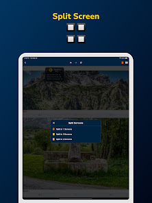 Screenshot image