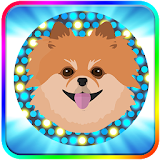 Pomeranian spitz Dog Adventure icon