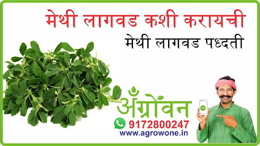सिताफळ लागवड #Agrownet™ Screen 2