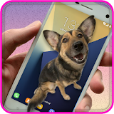 Dog On Screen Prank icon