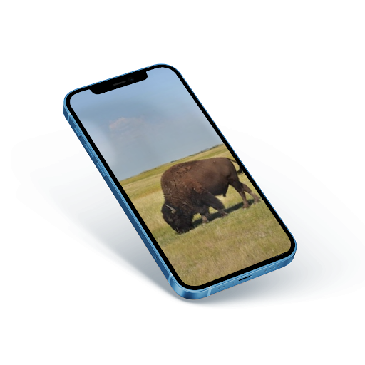 Android application Buffalo photo editor online screenshort