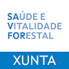 Saúde e Vitalidade Forestal