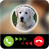 My Dog Calling Prank icon